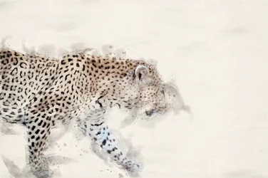 En elegant leopard i akvarell
