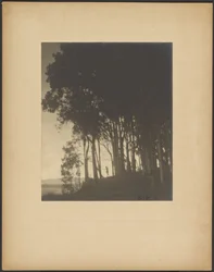 Dansende nymfe