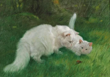 Arthur Heyer interessant oppdagelse 1923