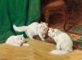 Samtale mellom katter,