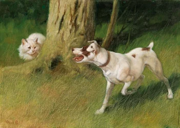 Hund og katt