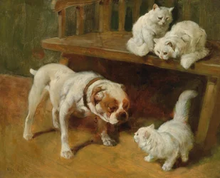 Hund og katter