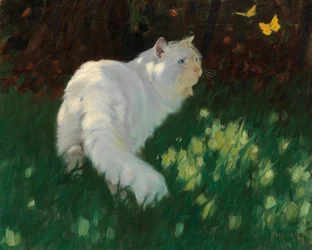 Hvit katt og sommerfugler