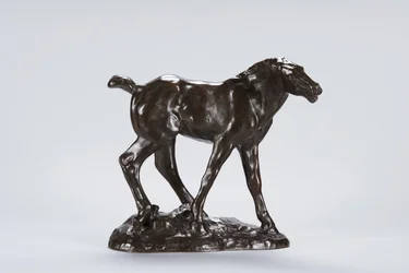 Colt (bronse)