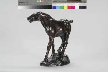 Colt (bronse)
