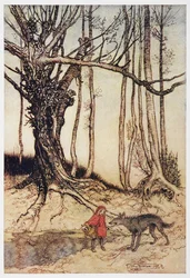 Rødhette og ulven i skogen.