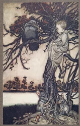 Sett hans merkelige sak foran Old Solomon Caw, fra Peter Pan i Kensington Gardens av J M Barrie (1860 - 1937), pub. 1906