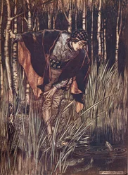 Fiskene, i sin glede, strakte hodet opp over vannet og lovet å belønne ham, fra The Fairy Tales of the Brothers Grimm, pub. 1909
