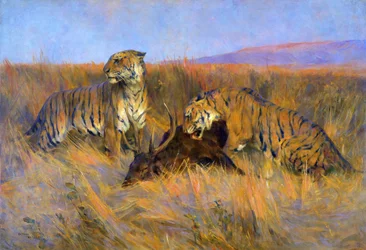 Tigers at Kill (olje på lerret)