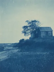 Wellfleet, Cape Cod, 1904 (bilde)