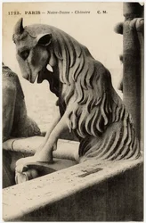 Gargoyle eller kimære fra katedralen Notre Dame de Paris, bygget mellom 1163 og 1300-tallet - Postkort, Selva-samlingen