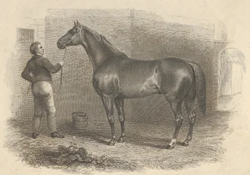 Amerikansk formørkelse, 1824.