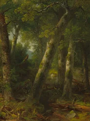 Skog i morgenlyset