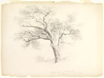 The Chestnut Oak på Hosack Estate, Hyde Park, New York med fem figurer og en kunstnerskisse, 1838 (grafitt på papir)