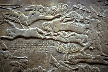 Ashurbanipal i slaget ved Til-Tuba, 650-620 f.Kr