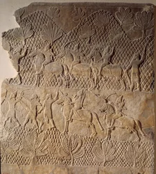 Orientalsk kunst fra antikken: kampscene. Lavt relieff av Assurbanipal-palasset, Assyria (7. århundre f.Kr.). Paris, Louvre-museet