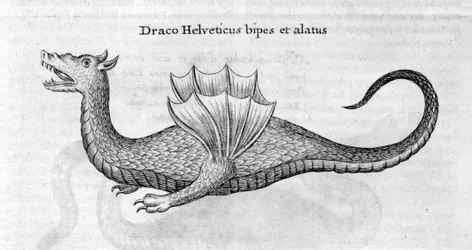 Drage, 1678