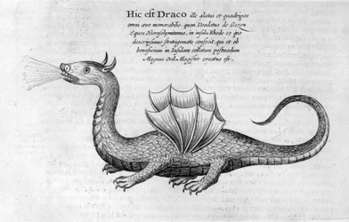 Drage, 1678