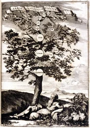Genealogisk tre til Noe d