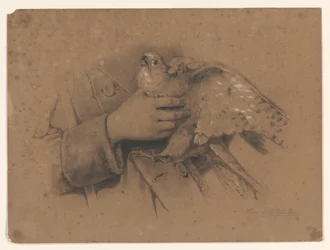 Kestrel fanget i hendene