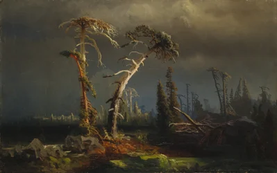 Opptrekkende uvær - utdøende urskog i uvær (oil on canvas)
