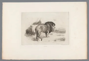 Løve Un vieux lion (tittel på objekt) Franske etsninger fra 1874 (serietittel) L