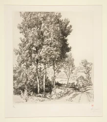 La vall?e du Petit Morin pr?s de Verdelot (Seine-et-Marne) (lille Morin-dalen nær Verdelot [Seine-et-Marne])