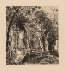 Auguste Lepère: Undergrowth, ved La Rigonette (Vendèe)