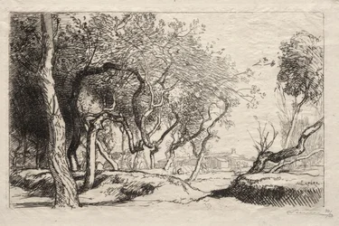 The Twisted Tree, 1915.