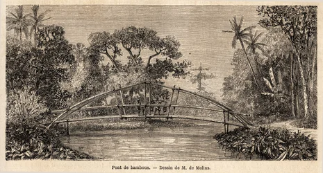 En bambusbro, i jungelen, nær Salak-fjellet. Tegning av M. de Molins, for å illustrere hans reise til Java