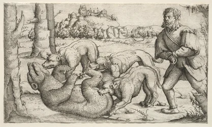 En bjørnejakt, 1569.