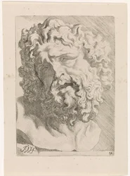 Leder for Laocoön Studies for en bok med tegninger etter klassiske skulpturer og figurer av Anthony van Dyck (serietittel)