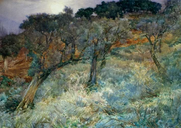 olivenlund, av Augusto Corelli (1853–1910)