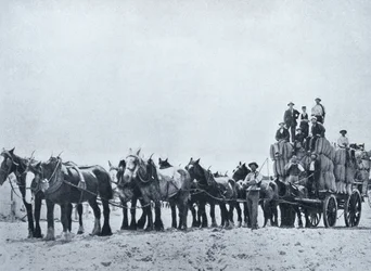 Ullbærende team, Western Australia, ca. 1900, fra `Under the Southern Cross - Glimpses of Australia