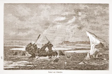 Kjemp med hvalross, 1876