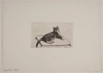 Engelsk: Liggende katt