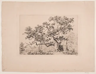 Kongens egen