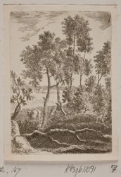 Skogslott