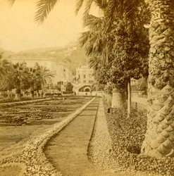 Monte Carlo, ser fra kasinoet, 1897.