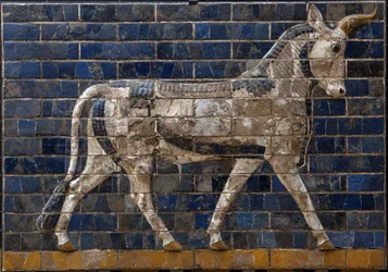 Hellig okse - relieffer av emaljerte murstein fra Ishtarporten - Babylon - 604-562 f.Kr. - Nebukadnesars periode - Arkeologisk museum i Istanbul - En okse, detalj fra glaserte mursteiner med mytologiske dyr som prydet prosesjonsveien til Ishtarporten