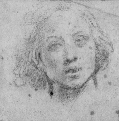 Hodet til en ung mann