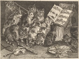 Kattekonsert