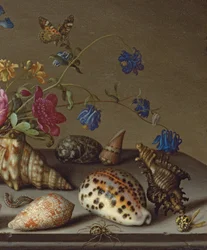 Blomster, skjell og insekter på en steinhylle