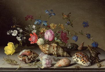 Blomster, skjell og insekter på en steinhylle