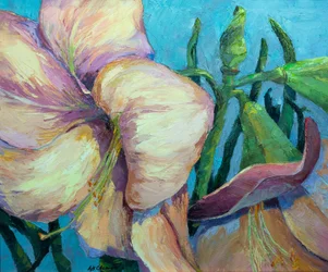 Amaryllis 2, ca. 1990–2000 (olje på lerret)