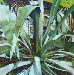 Frodig grønn agave