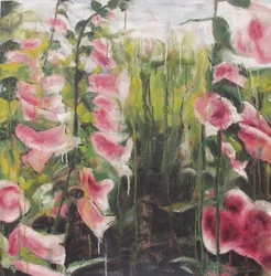 Fargerike blomster i hagen