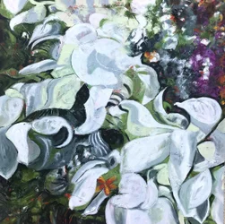Hvit blomstersommerfugl