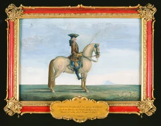 Nr. 9 En grå hest fra den spanske rideskolen, fra studen til greven av Kaunitz i Böhmen (wc på papir)