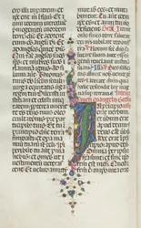 Missale: Fol. 22v: Løvverk med fisk, 1469.